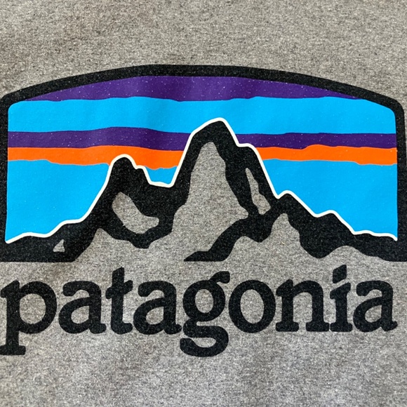 Classic Patagonia Hoodie – Grey with Front Logo, Size Small - Picture 4 of 7